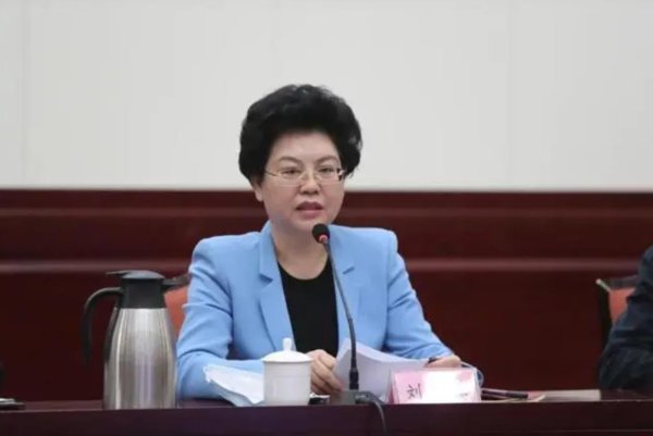 易投配资 极目政情丨65岁正部级“女老虎”刘慧被查，曾长期在宁夏工作并担任政府主席